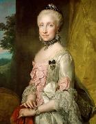 Anton Raphael Mengs Portrait of Maria Luisa of Spain oil painting on canvas